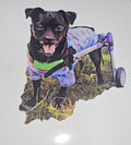 The Pekachi Twins doggy stickers - Patellar Luxation Awareness