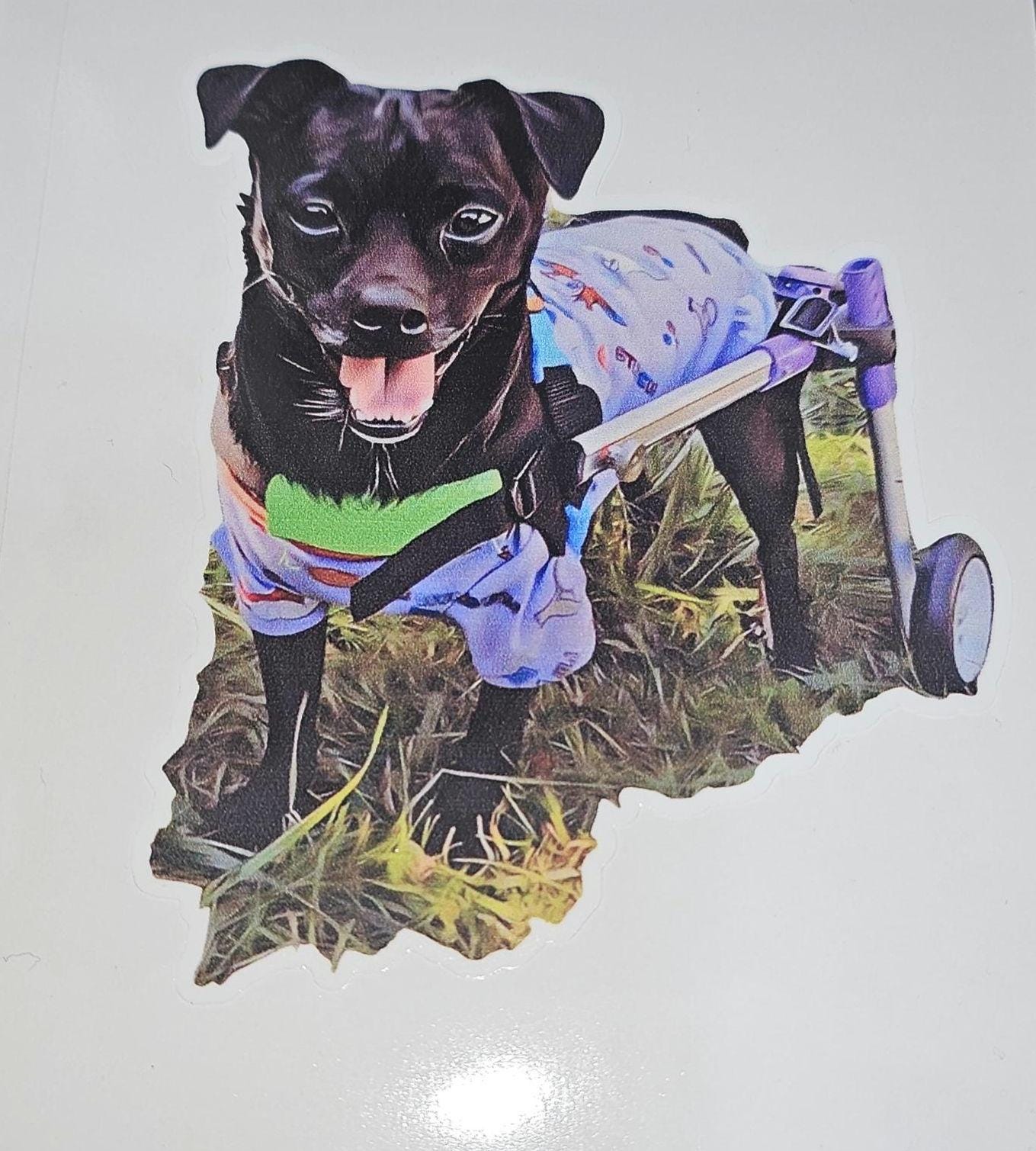 The Pekachi Twins doggy stickers - Patellar Luxation Awareness