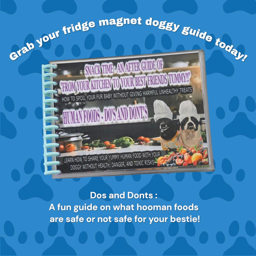 Dog Nutrition Guide Fridge Magnet – Safe and unsafe Human Foods and ingredients for Dogs