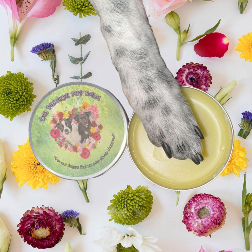 The Pekachi Pup Balm - Paw and snout balm for dogs 2oz or The Pekachi Lip Balm for Hoomans 0.15 - Soothing, healing, all natural balm!