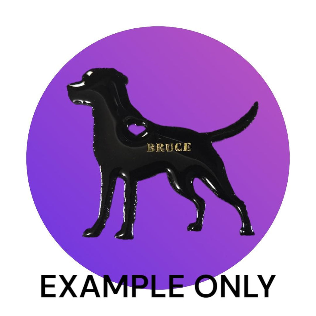 Customizable Resin Labrador- Keychain or 3D magnet (send photos or pick any color)