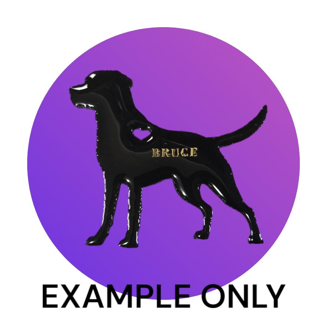 Customizable Resin Labrador- Keychain or 3D magnet (send photos or pick any color)