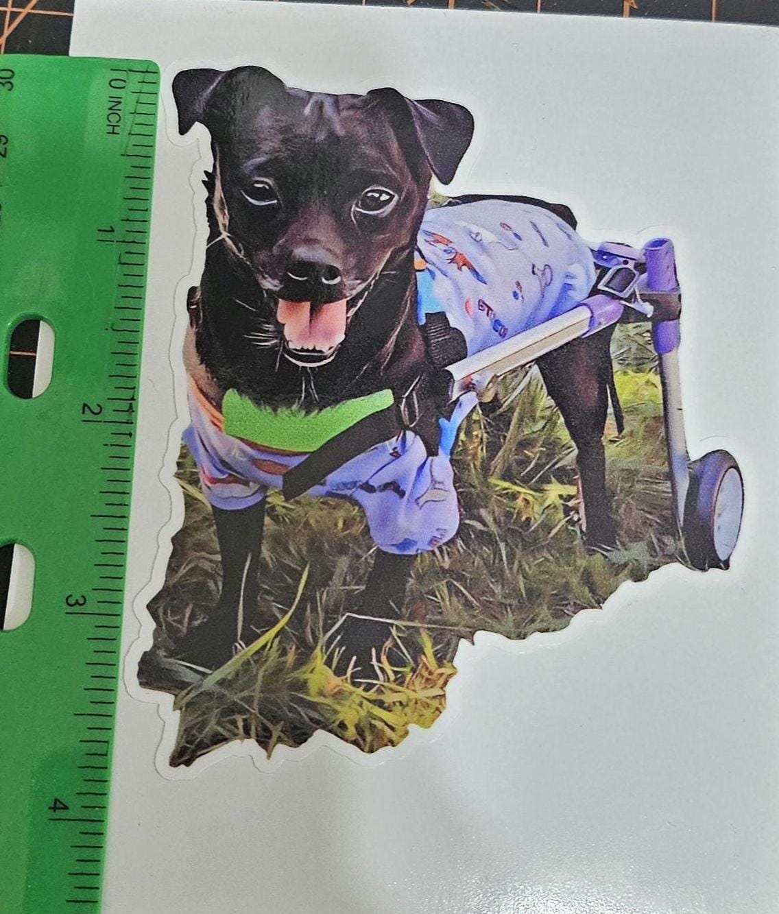 The Pekachi Twins doggy stickers - Patellar Luxation Awareness
