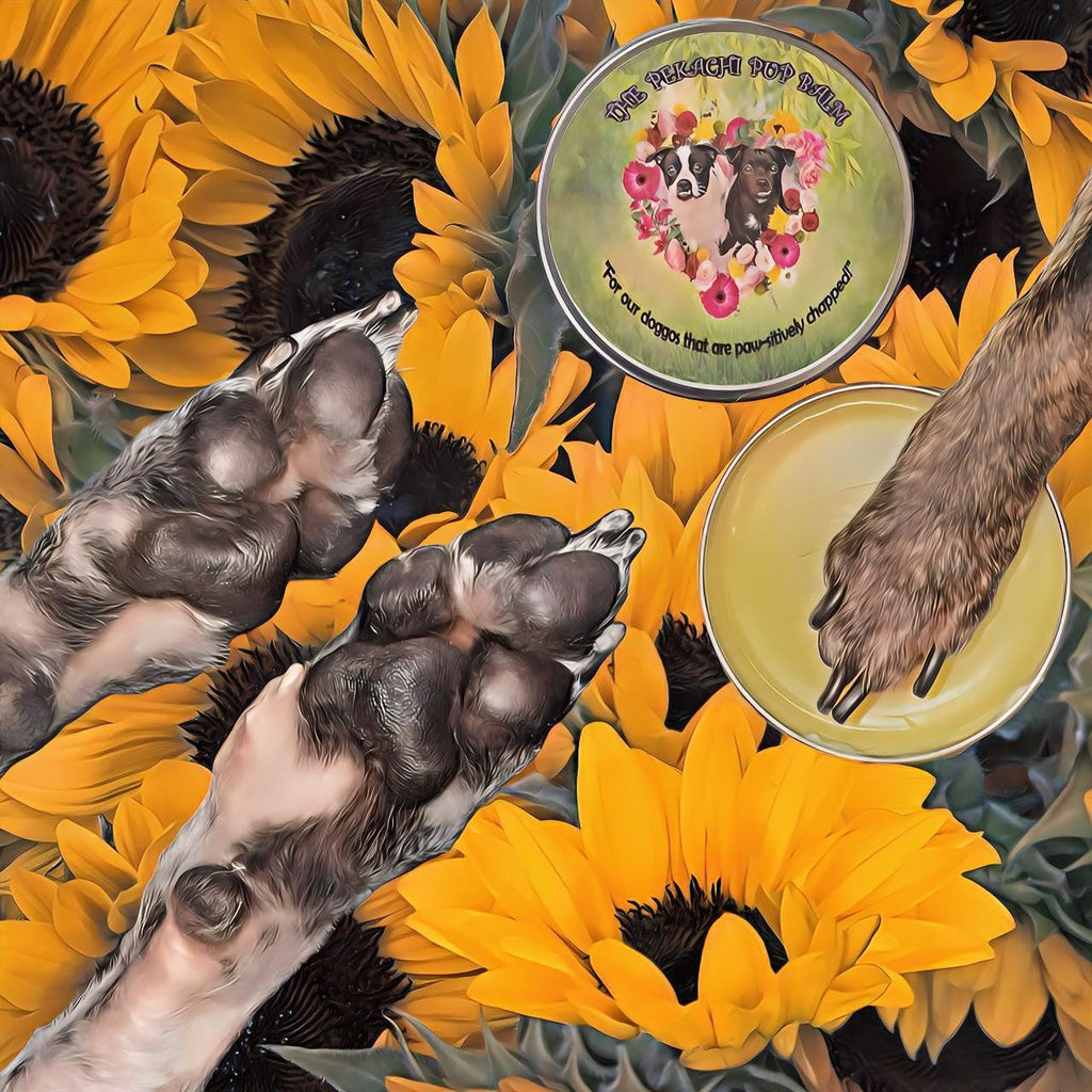 The Pekachi Pup Balm - Paw and snout balm for dogs 2oz or The Pekachi Lip Balm for Hoomans 0.15 - Soothing, healing, all natural balm!