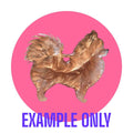Customizable Resin Pomeranian - Keychain or 3D magnet (send photos or pick any color)