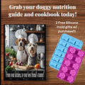 From your kitchen to your best friends tummy! - Dog cookbook and nutrition guide W/ 2 FREEE silicone molds for recipes!